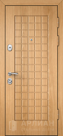 Фото «Уличная входная дверь №7»